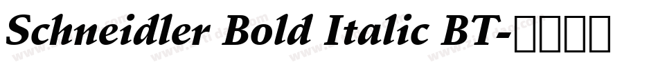 Schneidler Bold Italic BT字体转换